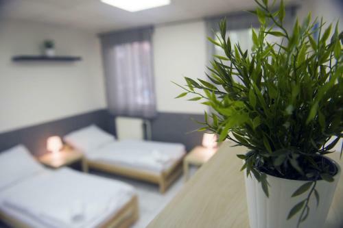 Hostel Kotva