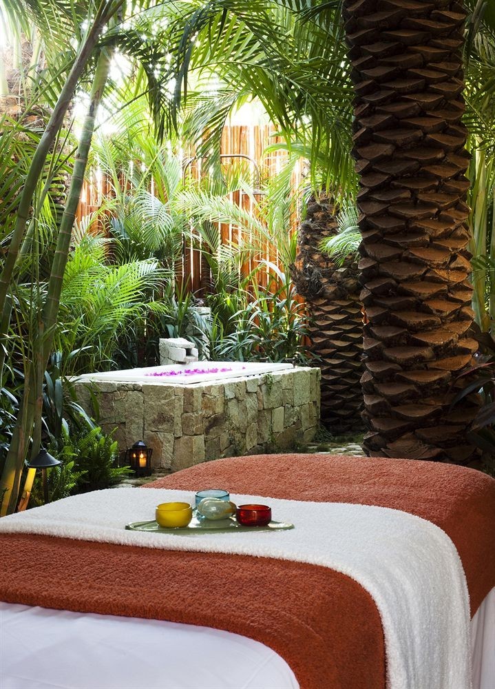 Hotel Las Ventanas Al Paraiso