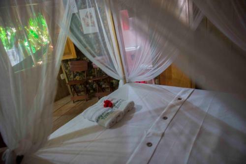 Lodge Posadas Ecoturisticas Seineken