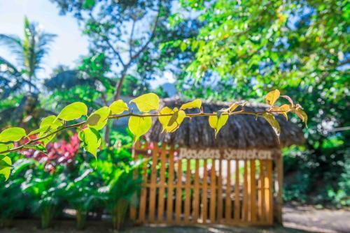Lodge Posadas Ecoturisticas Seineken