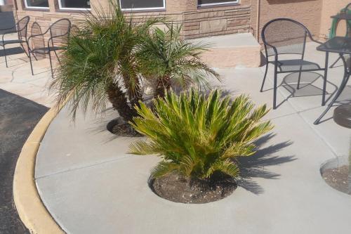 Yucca Motel