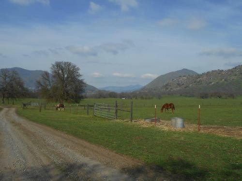 The Branded Calf Bed & Breakfast