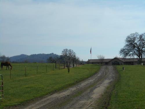 The Branded Calf Bed & Breakfast