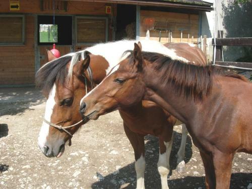 Posada Logis De La Licorne
