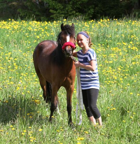 Agroturismo Brol�ten Konferens