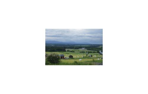 Holiday Home Hallonv�gen Oviken