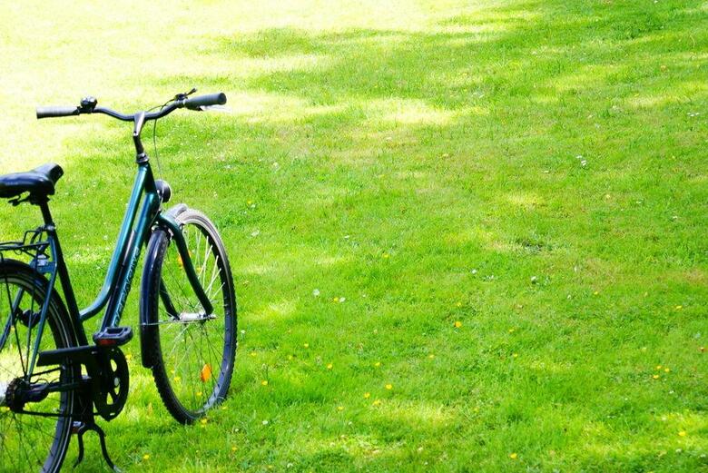 Apartamentos Amstel House Hostel