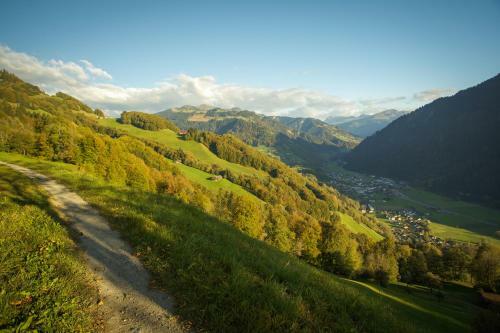 Hotel G�stehaus Alpina In Fanas
