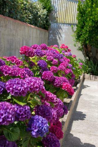 Hotel H�tel La Villa En L'�le