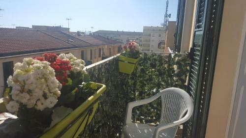 Holiday Apartment Paloma