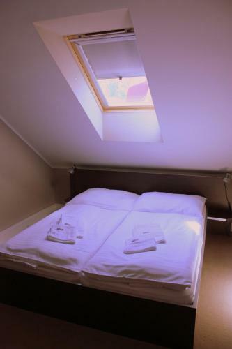 Hostal Penzion A Polocafe U Lavky