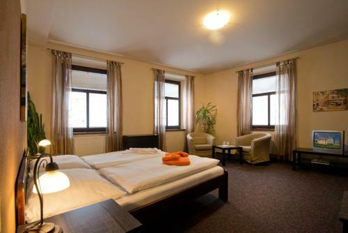 Hotel U Zlat�ho B�ka