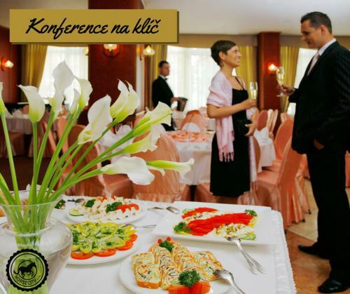 Hotel City Pisek