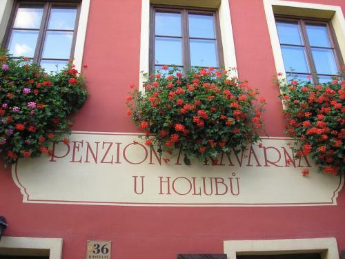 Hostal Penzion A Kavarna U Holubu
