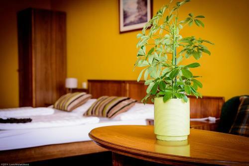 Hostal Penzion Pod Ka?nou
