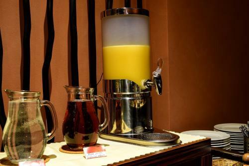 Afrika Hotel Fr�dek-m�stek