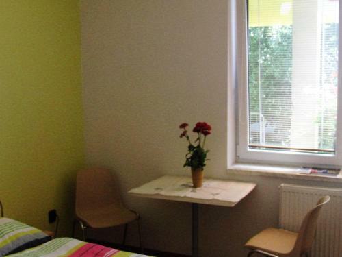 Hostal Penzion Ubytov�n� Kv?tinov�