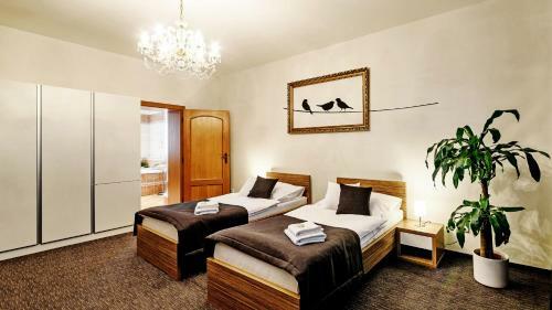 Hostal Bird's Nest