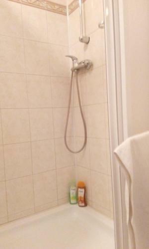 Hostal Penzion Bene?ova Hora