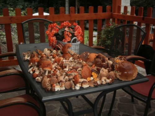Hostal Penzion Harmonie Rohanov