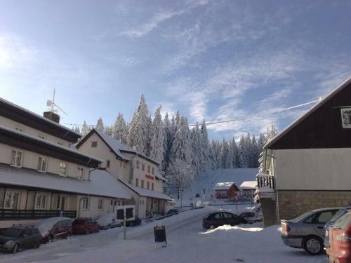 Hostal Penzion Restaurant Pod Boub�nem
