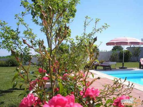 Bed & Breakfast Chambres D'hotes Villa Monsegur