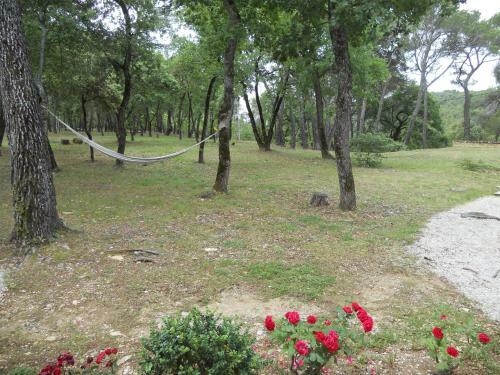 Bed & Breakfast Le Mas De La Pin�de