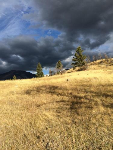Pine Creek Cabin Livingston Montana