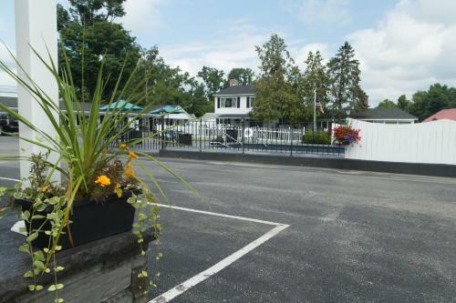Knotty Pine Motel