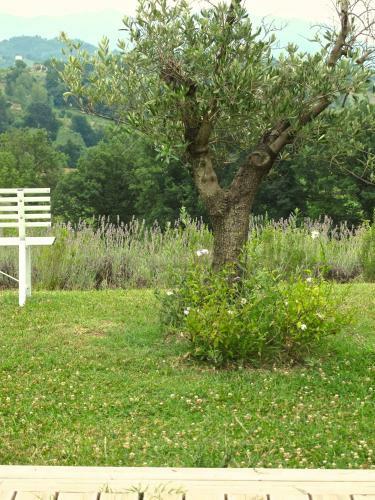 Agroturismo Relais Chalons D'orange