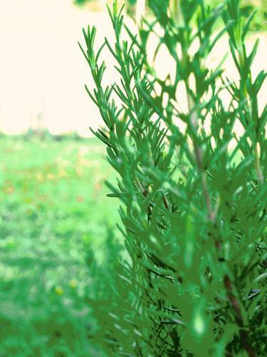 Agroturismo Relais Chalons D'orange