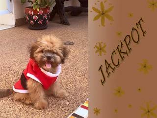 Thomas Udon Thai House Resort & Hotel