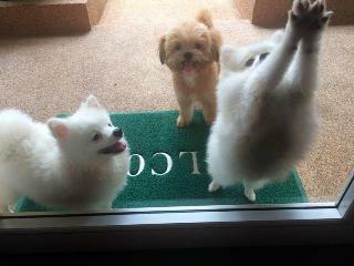 Thomas Udon Thai House Resort & Hotel