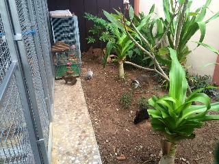 Thomas Udon Thai House Resort & Hotel