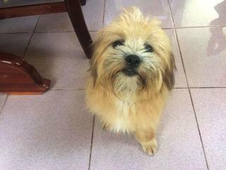 Thomas Udon Thai House Resort & Hotel