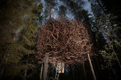 Lodge Treehotel