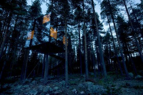 Lodge Treehotel