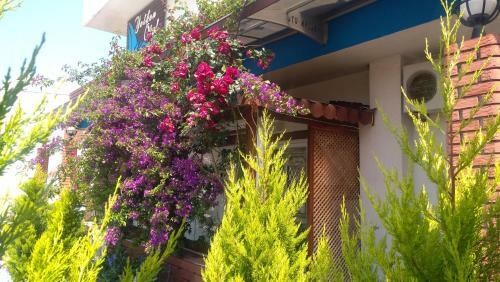 Urla Yelken Hotel