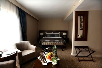 Hotel Miracle Istanbul Asia