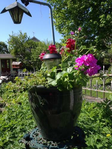 Hostal Hotell Floras Tr�dg�rd