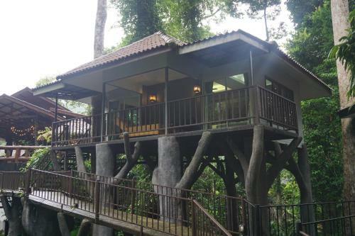 Hotel Rock And Tree House Resort