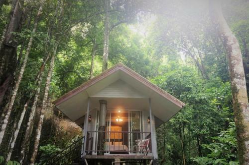 Hotel Rock And Tree House Resort
