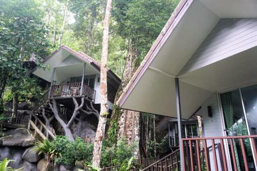 Hotel Rock And Tree House Resort