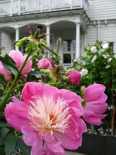 Hotel Wij Tr�dg�rdar