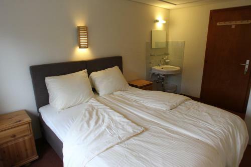 Hostal B&B Swisschalet Montana