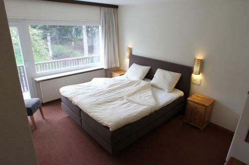 Hostal B&B Swisschalet Montana