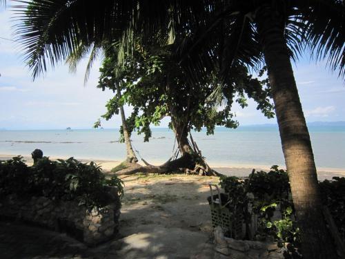Hotel Pine Bungalow Krabi