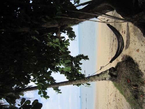 Hotel Pine Bungalow Krabi