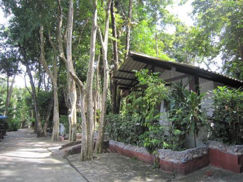 Hotel Pine Bungalow Krabi