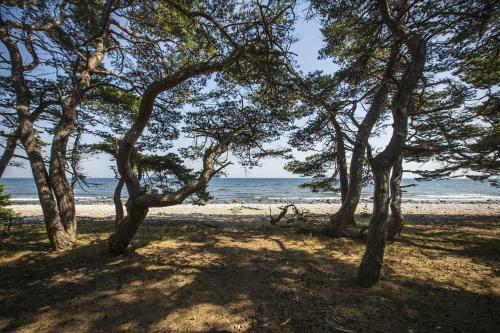 Agroturismo Stf Hagaby/lantg�rden Hostel